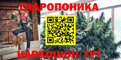 мяу мяу мука Ливны