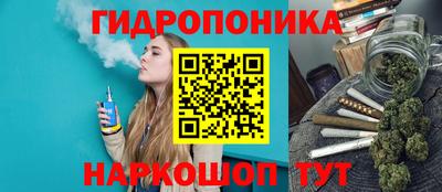 мяу мяу мука Лесосибирск