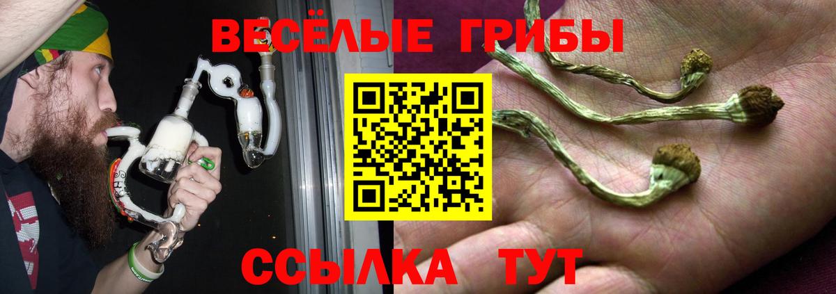 Йошкар-Ола  Псилоцибиновые грибы мухоморы  Вход с VPN 