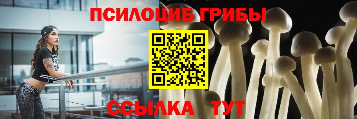 Псилоцибиновые грибы Psilocybine cubensis Йошкар-Ола